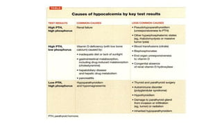 Vitamin D and Calcium Homeostasis | PDF