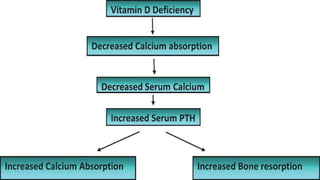 Vitamin D and Calcium Homeostasis | PDF