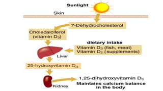Vitamin D and Calcium Homeostasis | PDF