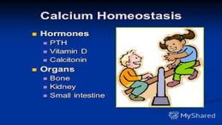 Vitamin D and Calcium Homeostasis | PDF