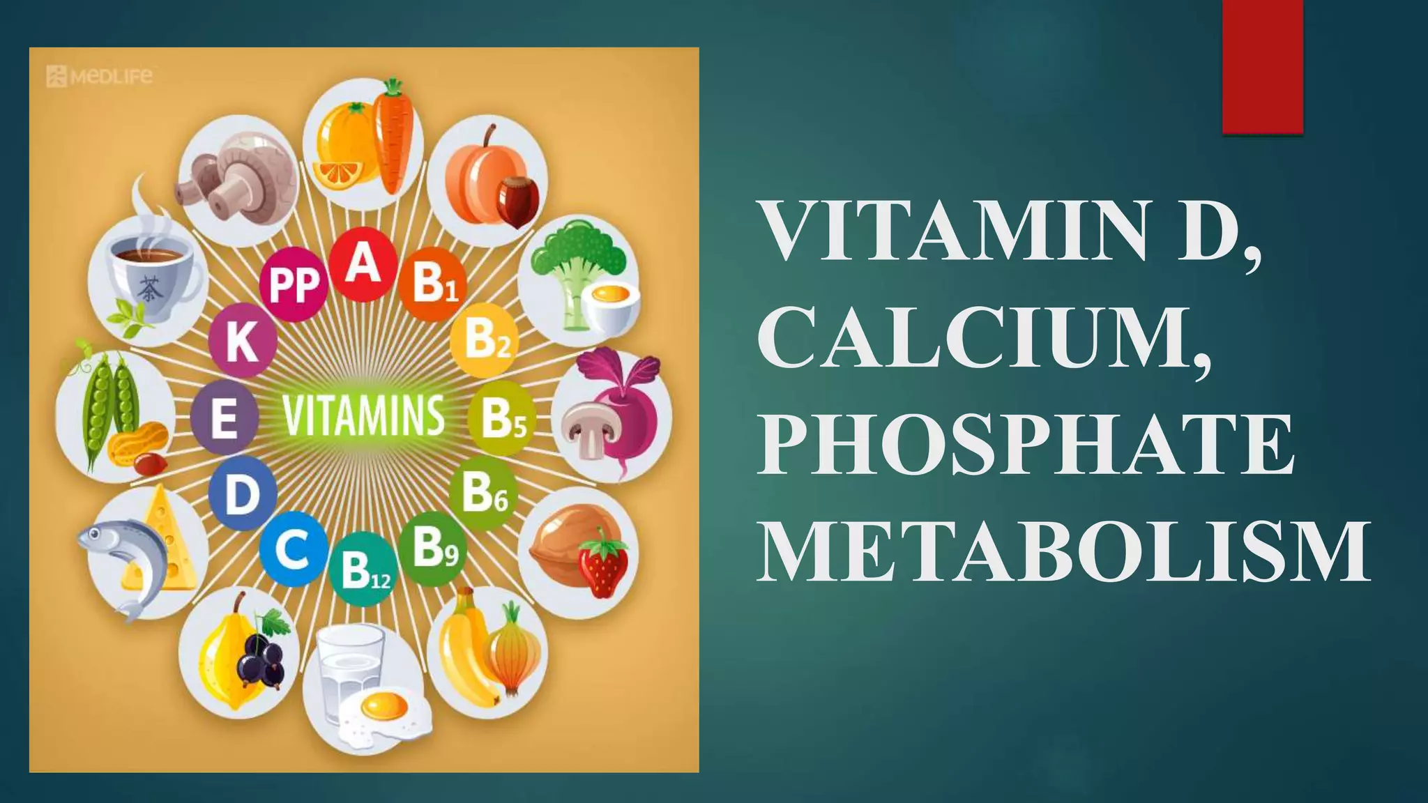 VITAMIN D, CALCIUM, PHOSPHATE METABOLISM PPT