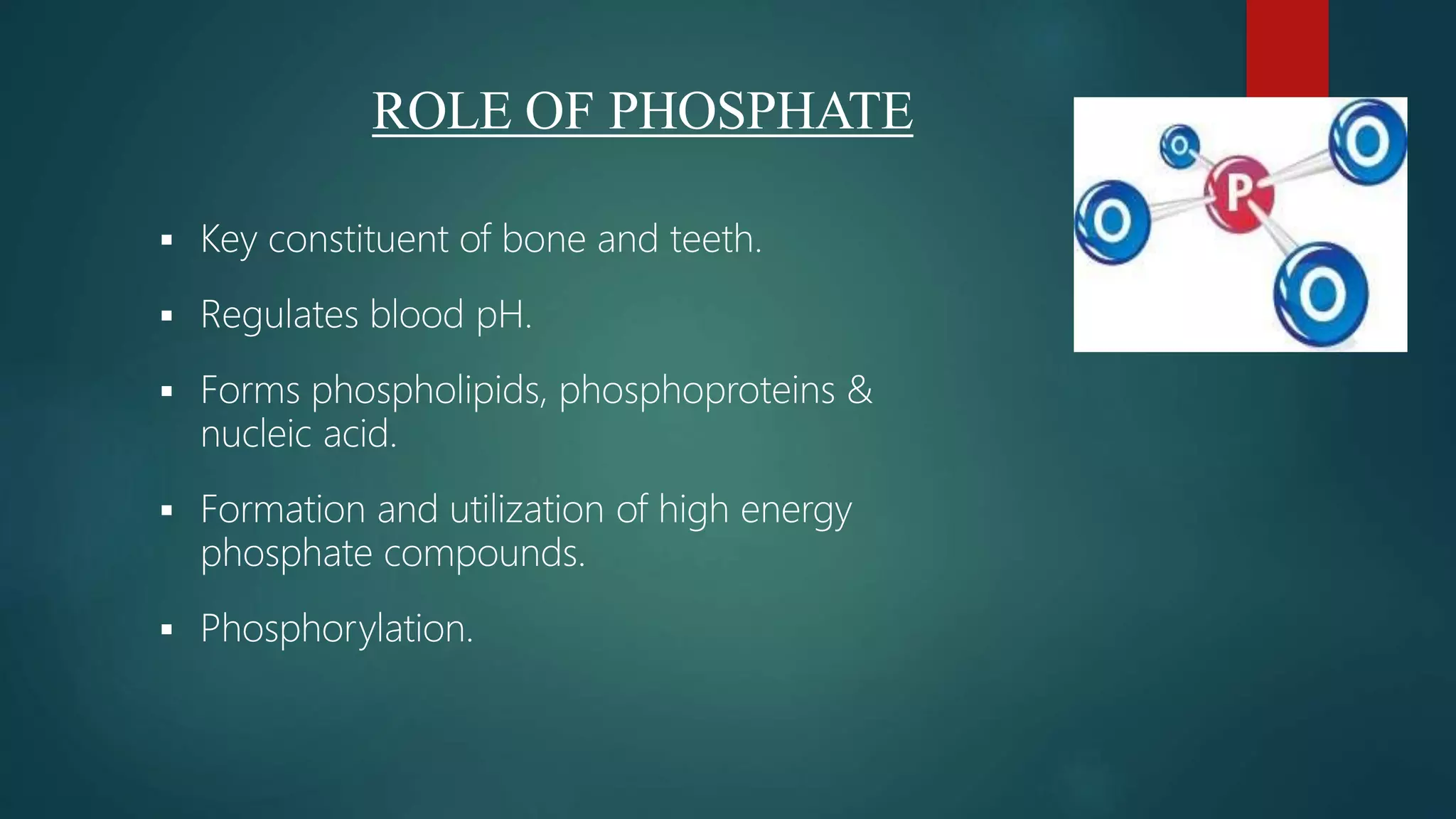  Key constituent of bone and teeth.
 Regulates blood pH.
 Forms phospholipids, phosphoproteins &
nucleic acid.
 Formation and utilization of high energy
phosphate compounds.
 Phosphorylation.
ROLE OF PHOSPHATE
 