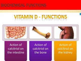 BIOCHEMICAL FUNCTIONS
 