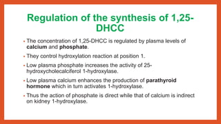 Regulation of the synthesis of 1,25-
DHCC
• The concentration of 1,25-DHCC is regulated by plasma levels of
calcium and phosphate.
• They control hydroxylation reaction at position 1.
• Low plasma phosphate increases the activity of 25-
hydroxycholecalciferol 1-hydroxylase.
• Low plasma calcium enhances the production of parathyroid
hormone which in turn activates 1-hydroxylase.
• Thus the action of phosphate is direct while that of calcium is indirect
on kidney 1-hydroxylase.
 