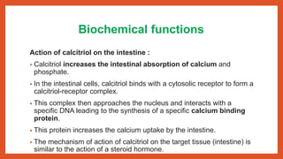 Biochemical functions
Action of calcitriol on the intestine :
• Calcitriol increases the intestinal absorption of calcium and
phosphate.
• In the intestinal cells, calcitriol binds with a cytosolic receptor to form a
calcitriol-receptor complex.
• This complex then approaches the nucleus and interacts with a
specific DNA leading to the synthesis of a specific calcium binding
protein.
• This protein increases the calcium uptake by the intestine.
• The mechanism of action of calcitriol on the target tissue (intestine) is
similar to the action of a steroid hormone.
 