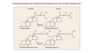 Transformation of inactive Provitamin to the active Vitamin-D
6
 
