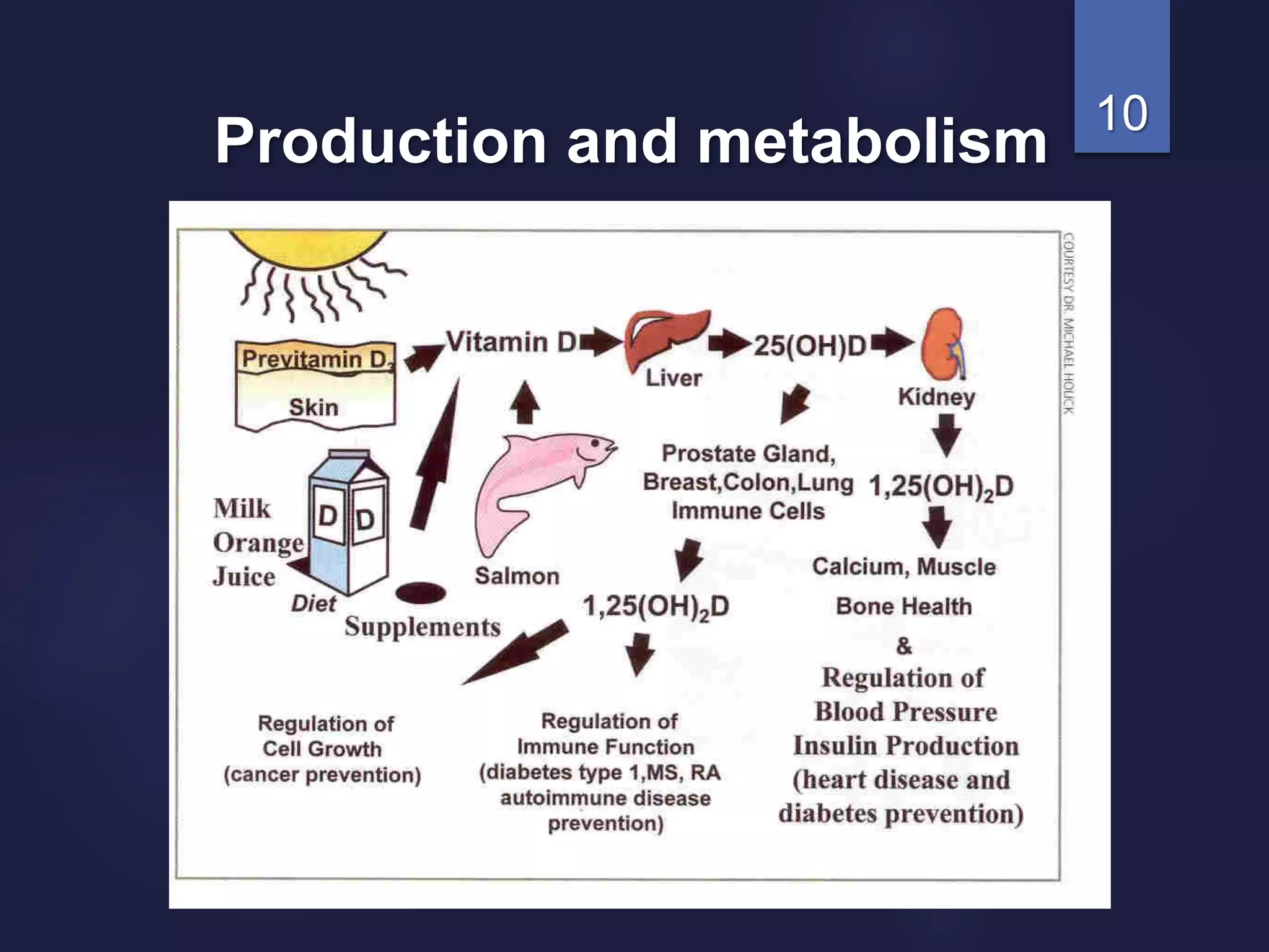 10
Production and metabolism
 