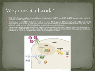  TLR2–TLR1 stimulation results in the upregulation of the expression of Cyp27B1 and of VDR. Cyp27B1 converts inactive vitamin D
  (25D3) into its active form (1,25D3).
 The intracellular pool of 25D3 is shuttled into the cell via the vitamin D binding protein (DBP). Once activated, 1,25D3 can then bind to
  and activate the VDR, and induce transcription of antimicrobial factors, including the antimicrobial peptide cathelicidin (Cath.). The
  cathelicidin peptide can then traffic into intracellular compartments harboring mycobacteria.
 The cathelicidin peptide has been demonstrated to kill Mycobacterium tuberculosis directly. Therefore, cathelicidin probably has an
  important role in the TLR2–TLR1-mediated antimicrobial activity, but is probably not the only effector. The induction of host-defense
  mechanisms by TLR2–TLR1 depends on the amount of 25D3 present in the serum.
 