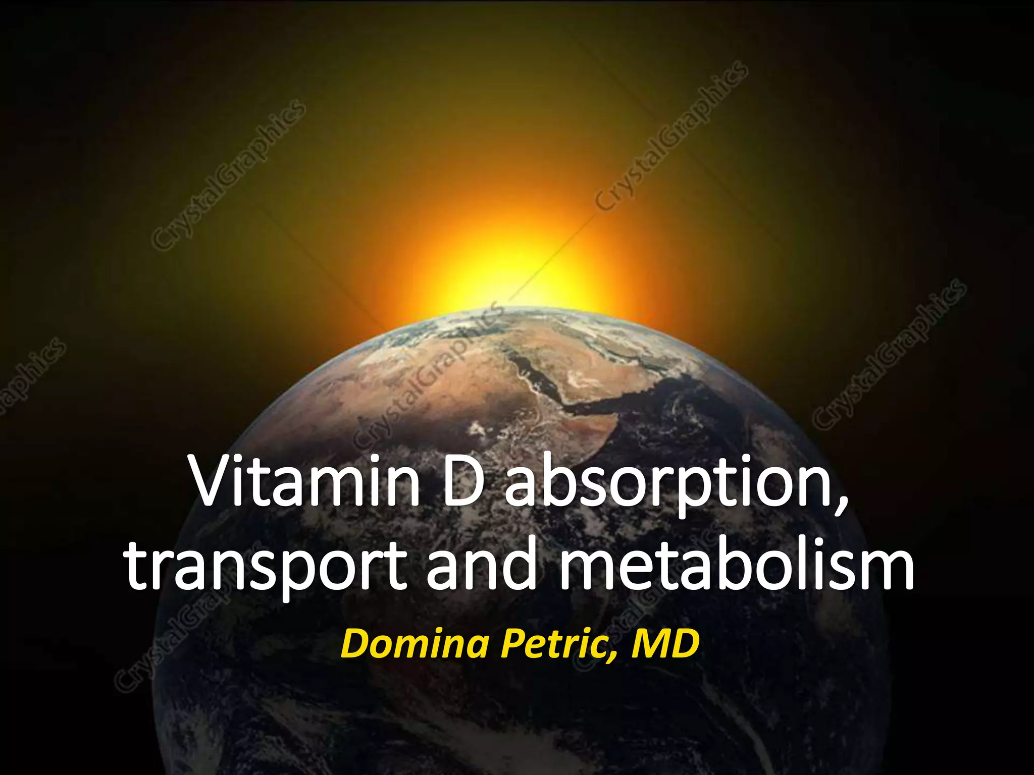 Vitamin D absorption, transport and metabolism PPT