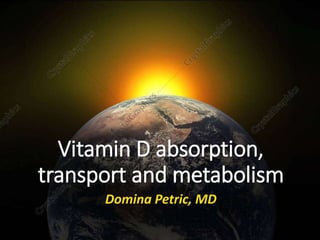 Domina Petric, MD
Vitamin D absorption,
transport and metabolism
 