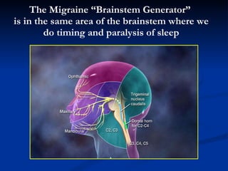 The Migraine “Brainstem Generator”  is in the same area of the brainstem where we do timing and paralysis of sleep 