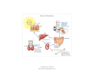 Abdalmal E. Aboseif
aboseifonline@yahoo.com
 