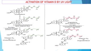 Vitamin D and its clinical applications | PDF