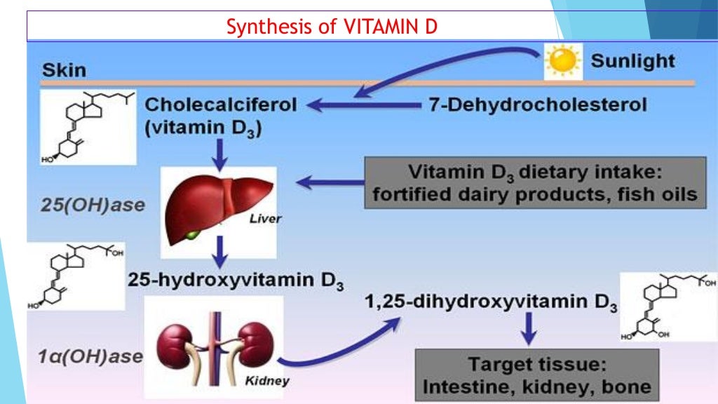 Vitamin D and its clinical applications