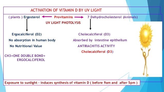 Vitamin D And Its Clinical Applications