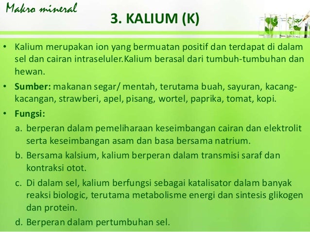 38+ Glukosa asam amino mineral dan vitamin diserap melalui ideas