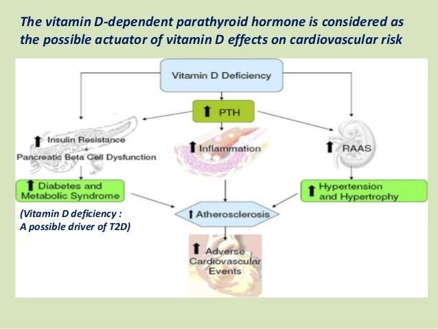 Vitamin D And Cardiovascular Disease Where Do We Stand In 2017