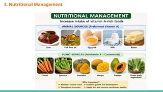 3. Nutritional Management
 