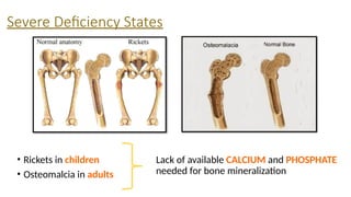 Vitamin D & its Analogues made easy for Dialysis students | PPTX