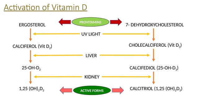 Vitamin D & its Analogues made easy for Dialysis students | PPTX ...