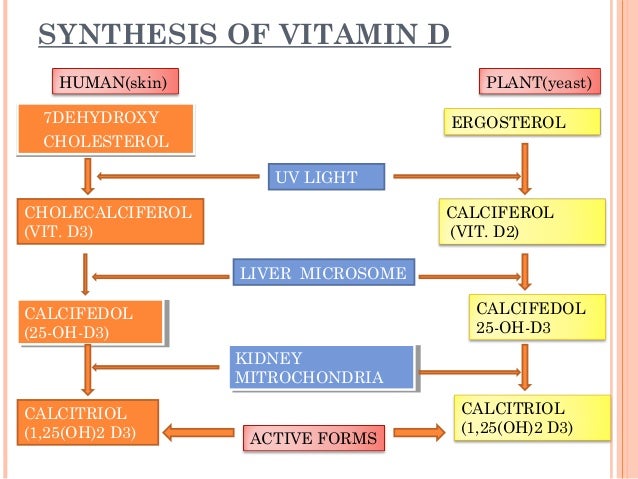 Vitamin D Deficiency By Dr Mihir Adhikari