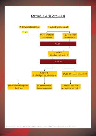 METABOLISM OF VITAMIN D
Intestinal absorption
of calcium
PTH mediated
bone resorption
Renal Ca++ and
phosphate excretion
UV Light
7-dehydrocholesterol 7-dehydrocholesterol
Liver
Kidney
Cholecalciferol
Vitamin D3
Calcitriol
1,25 dihydroxy Vitamin D
24,25 dihydroxy Vitamin D
Ergocalciferol
Vitamin D2
Calcidiol
25-hydroxy Vitamin D
Reference:Literaturereview,ZalmanSAgus,MDEmeritusProfessorofMedicineandPhysiology;AssociateDean,CMEPerelmanSchoolofMedicineattheUniversityofPennsylvania
 