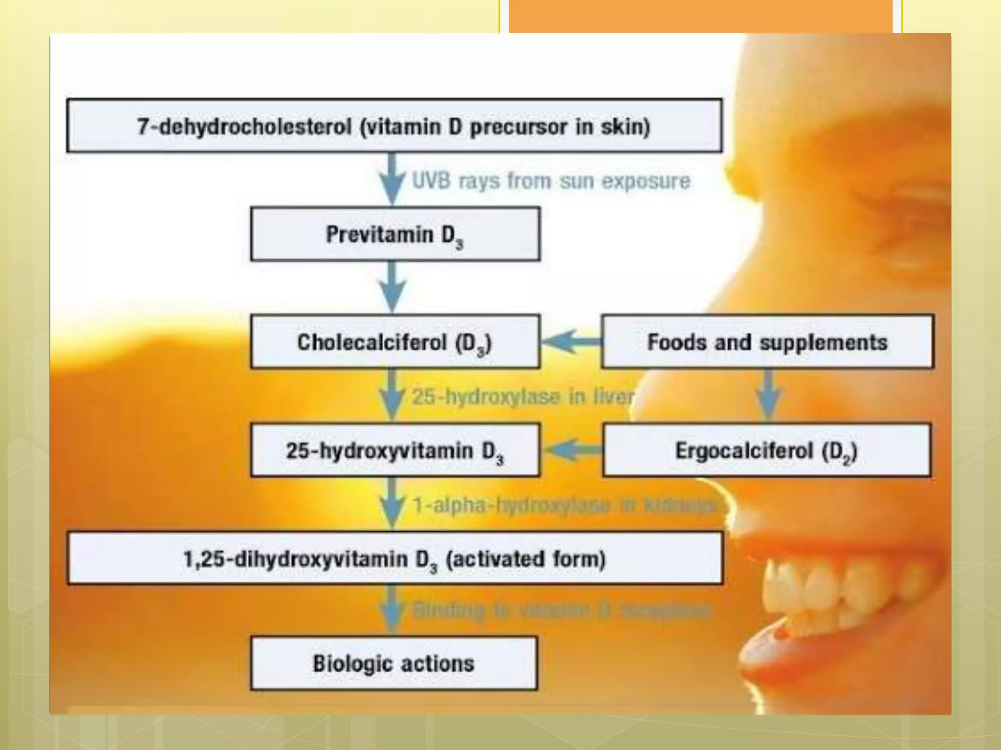 Vitamin d physiology | PPTX
