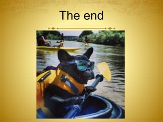 The end
 