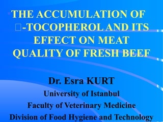 •THE ACCUMULATION OF
-TOCOPHEROLAND ITS
EFFECT ON MEAT
QUALITY OF FRESH BEEF
Dr. Esra KURT
University of Istanbul
Faculty of Veterinary Medicine
Division of Food Hygiene and Technology
 
