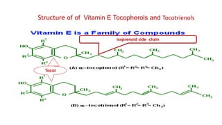 Structure of of Vitamin E Tocopherols and Tocotrienols
isoprenoid side chain
Tocol
 