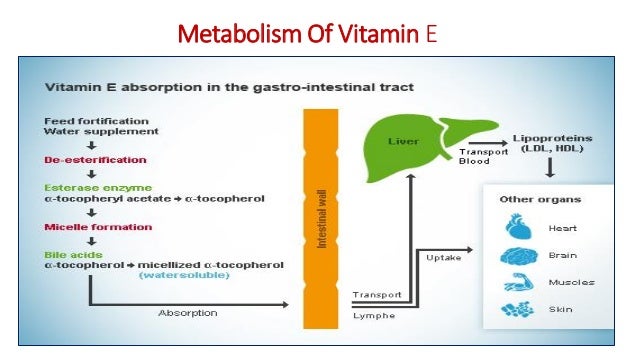 Vitamin E And Its Clinical Applications