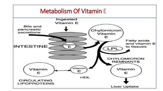 Vitamin E And Its Clinical Applications