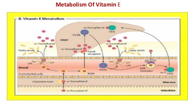 Vitamin E And Its Clinical Applications