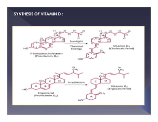 SYNTHESIS OF VITAMIN D :
 