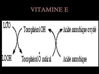 VITAMINE E
 