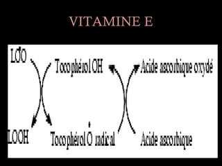 VITAMINE E
 