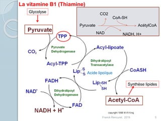 Franck Rencurel, 2019 5
La vitamine B1 (Thiamine)
Acide lipoïque
Pyruvate AcétylCoA
CoA-SH
CO2
NAD NADH, H+
Synthèse lipides
Glycolyse
 