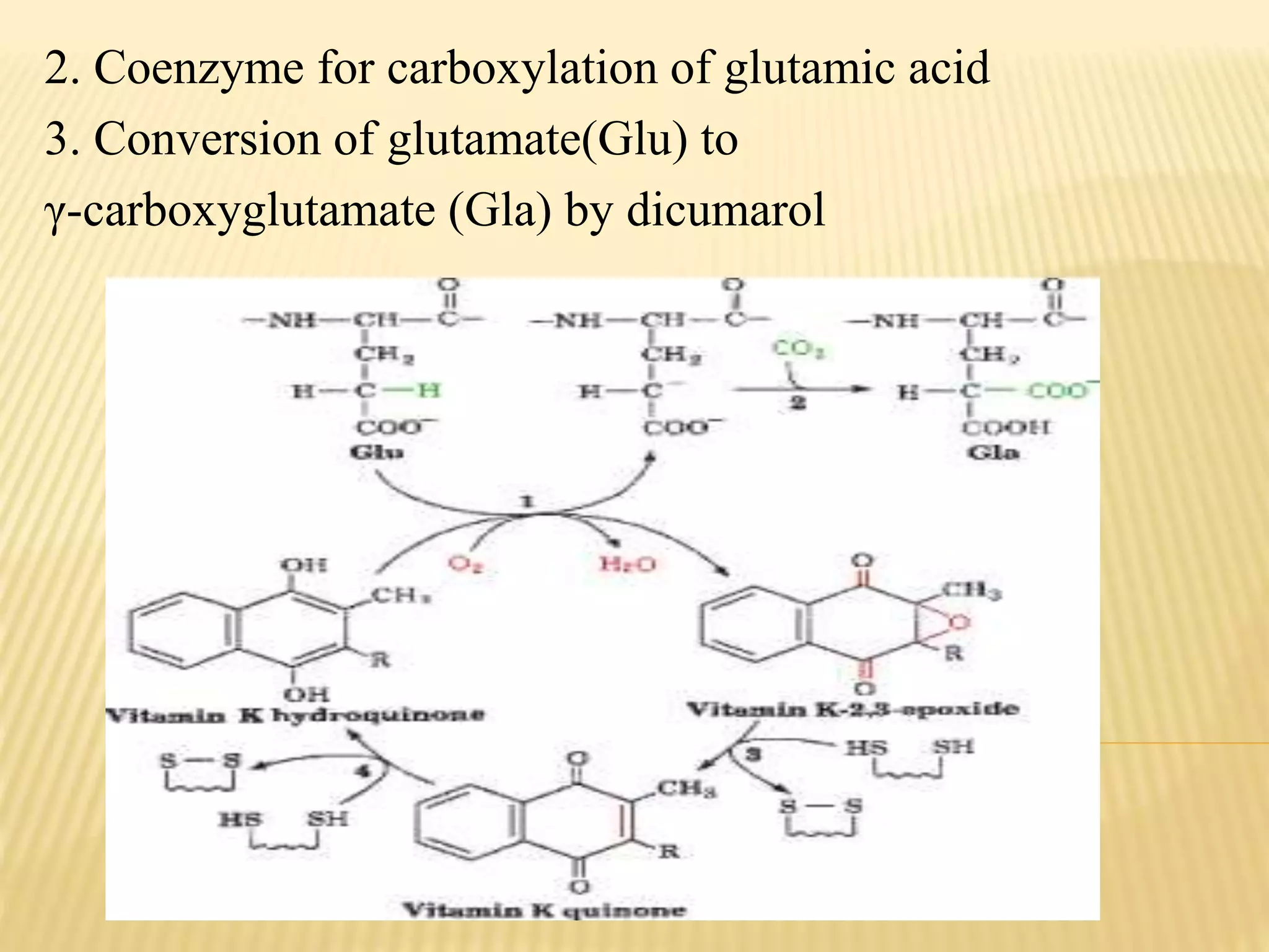 vitamin-e-and-vitamin-k-pptx