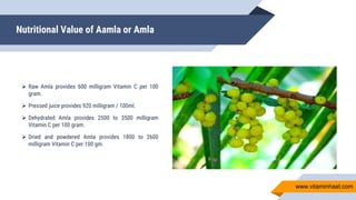 Nutritional Value of Aamla or Amla
 Raw Amla provides 600 milligram Vitamin C per 100
gram.
 Pressed juice provides 920 milligram / 100ml.
 Dehydrated Amla provides 2500 to 3500 milligram
Vitamin C per 100 gram.
 Dried and powdered Amla provides 1800 to 2600
milligram Vitamin C per 100 gm.
www.vitaminhaat.com
 