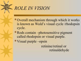 ROLE IN VISION
Overall mechanism through which it works
is known as Wald’s visual cycle /rhodopsin
cycle.
Rods contain –photosensitive pigment
called rhodopsin or visual purple.
Visual purple –opsin
retinine/retinal or
retinaldehyde
 