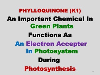 Vitamin K1
PHYLLOQUINONE (K1)
An Important Chemical In
Green Plants
Functions As
An Electron Accepter
In Photosystem
During
Photosynthesis 12
 