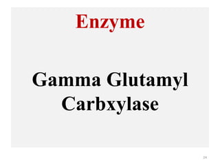 Enzyme
Gamma Glutamyl
Carbxylase
24
 
