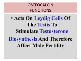 OSTEOCALCIN
FUNCTIONS
• Acts On Leydig Cells Of
The Testis To
Stimulate Testosterone
Biosynthesis And Therefore
Affect Male Fertility
35
 
