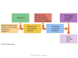 © 2008 Thomson - Wadsworth
 
