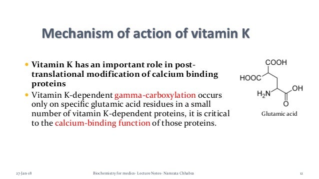 Vitamin K An Overview