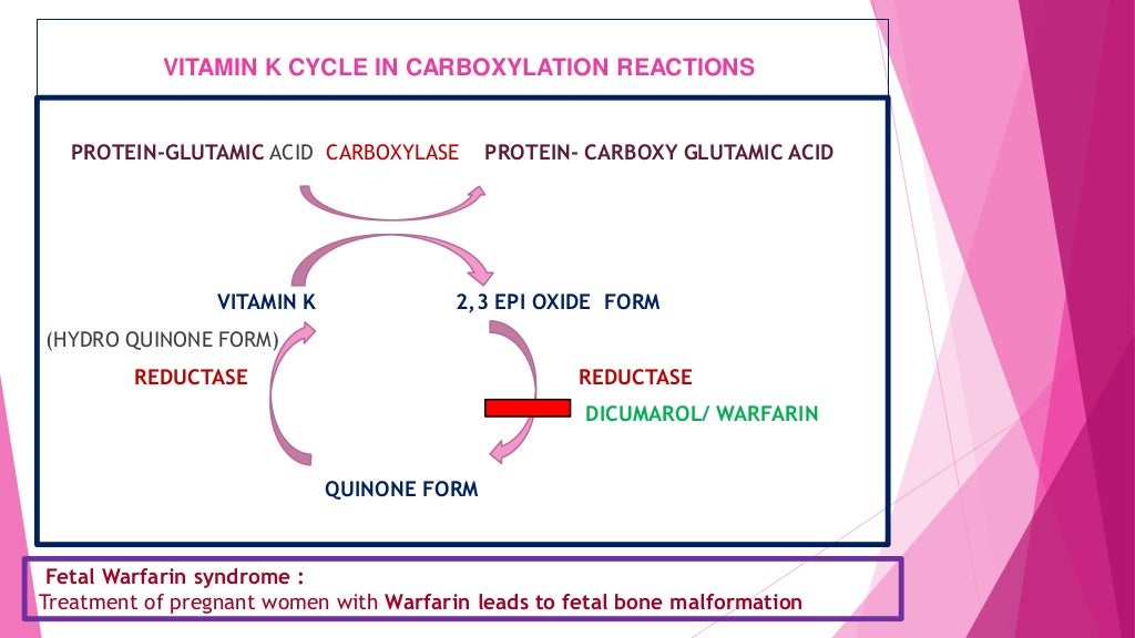 Vitamin k and its clinical applications