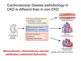 Atherosclerosis, arteriosclerosis, vascular
calcification, endothelial dysfunction
 