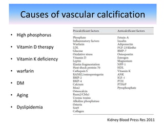 Causes of vascular calcification
• High phosphorus
• Vitamin D therapy
• Vitamin K deficiency
• warfarin
• DM
• Aging
• Dyslipidemia
Kidney Blood Press Res 2011
 