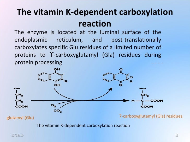 Vitamin K Tool to control the osteophrosis