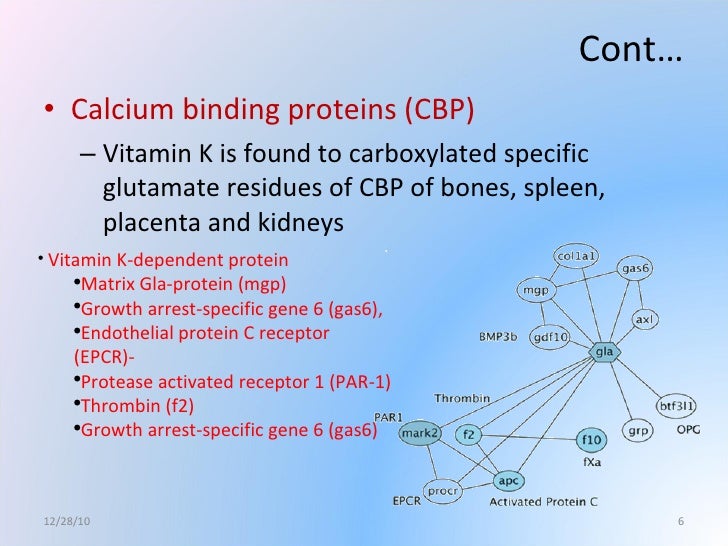 Vitamin K Tool to control the osteophrosis